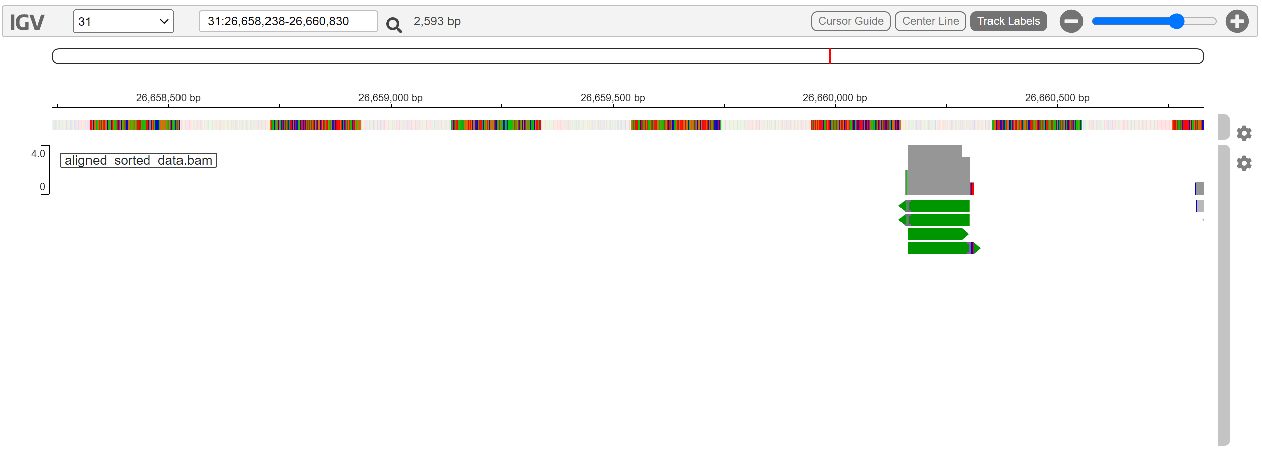 IGV screenshot showing chromosome 31 from 26,658,238 to 26,660,830 with aligned sorted BAM reads.
