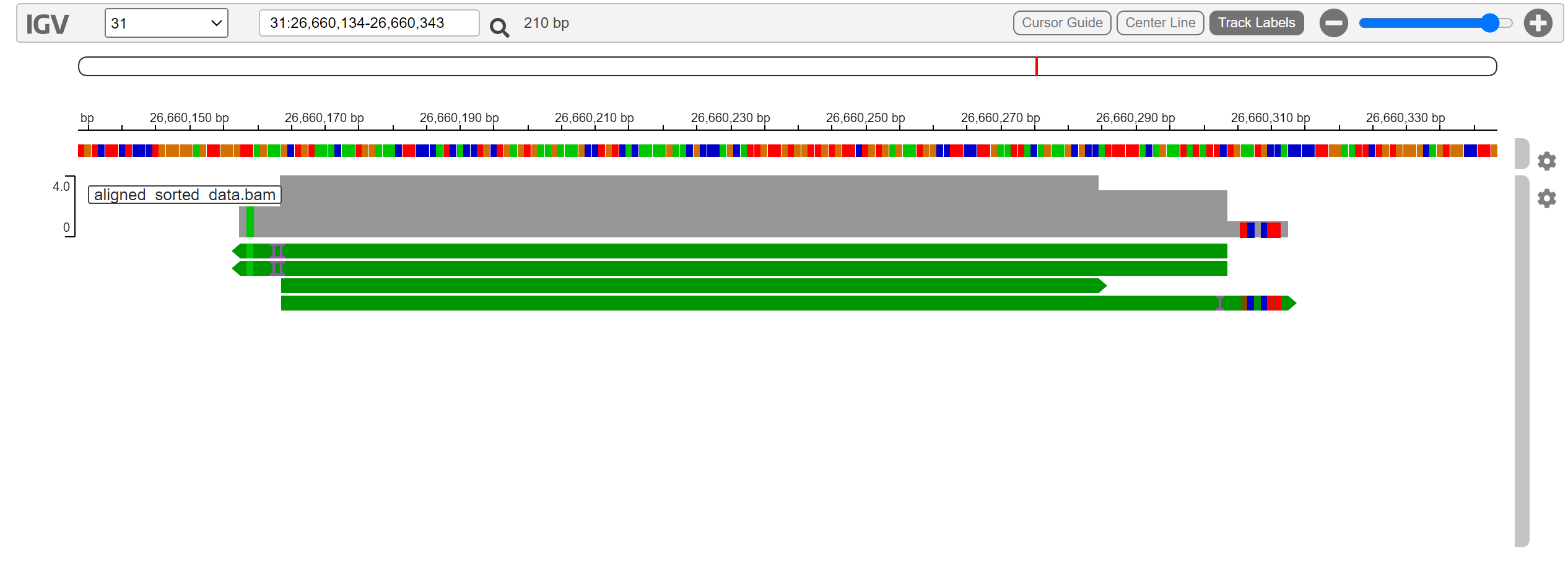 IGV screenshot zoomed to chromosome 31 from 26,660,134 to 26,660,343 with several aligned reads and colored base mismatches.