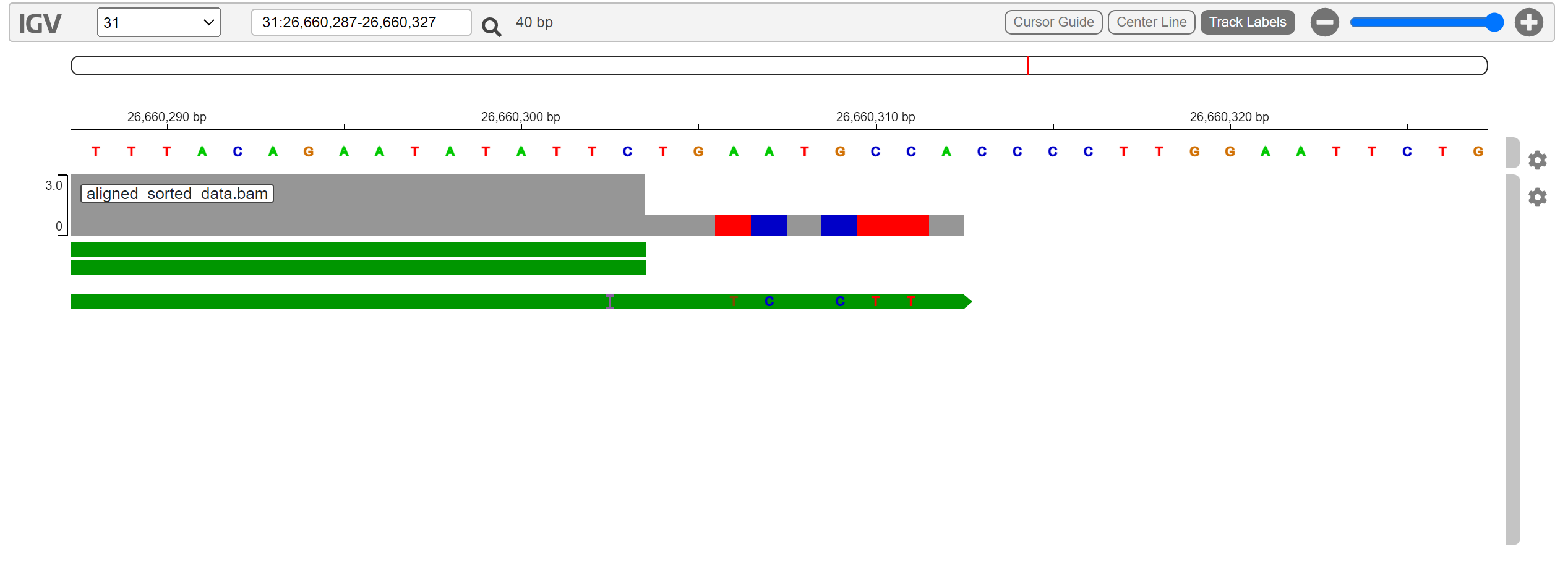 IGV screenshot zoomed to chromosome 31 from 26,660,287 to 26,660,327 with reference bases and aligned reads visible.